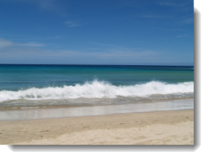 waves on the beach